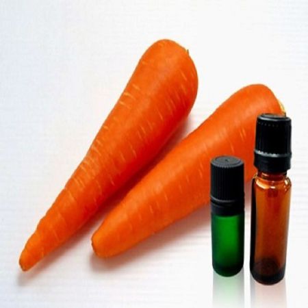 CARROT SEED OIL