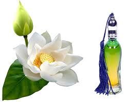 White Lotus Attar