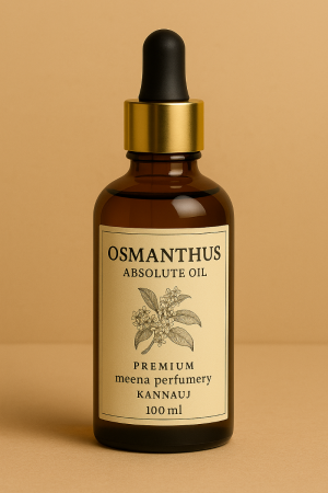 OSMANTHUS ABSOLUTE OIL 