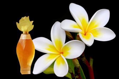Champa Attar