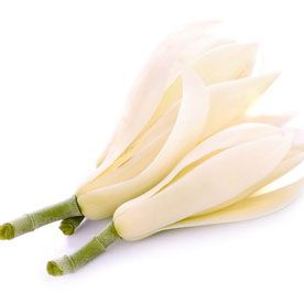 CHAMPACA OIL