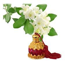 Chameli Attar