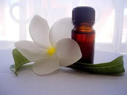 Frangipani Attar