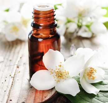 JASMINE AURICULATUM ABSOLUTE OIL 