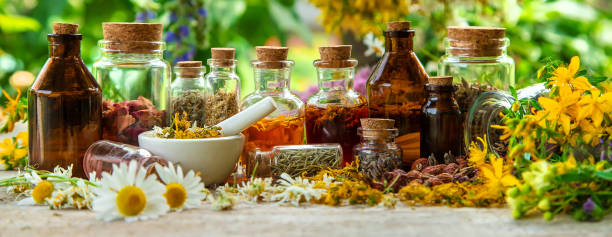 Top 10 Attars from Meena Perfumery You Must Try