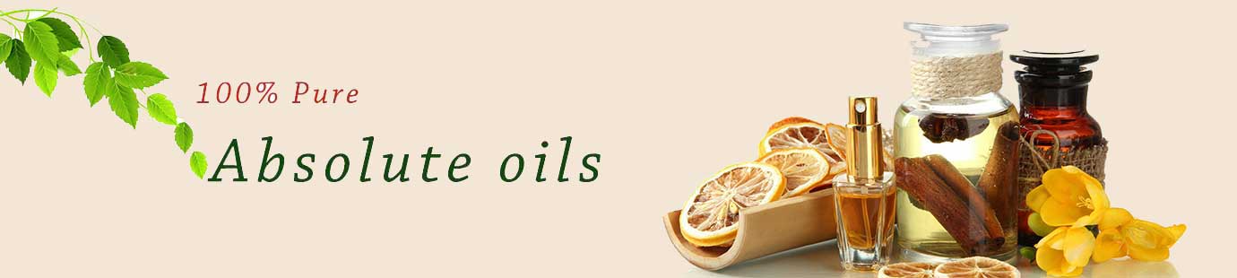 ABSOLUTE OIL