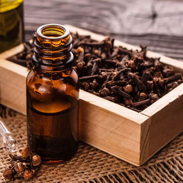 CLOVE BUD OIL