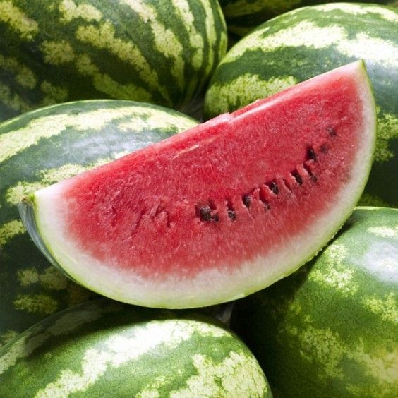 WATER MELON OIL