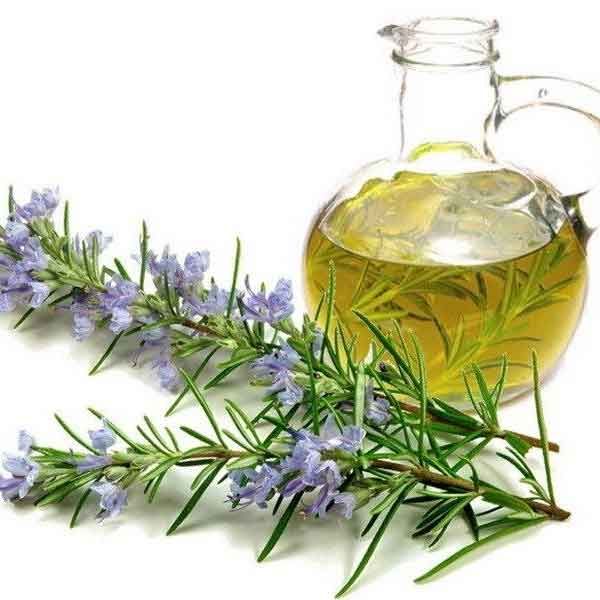 ROSEMARY OIL