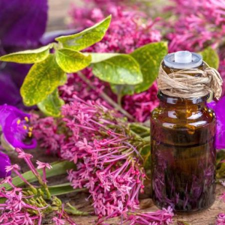 CELERY SAGE OIL