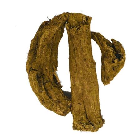 COSTUS ROOT OIL

