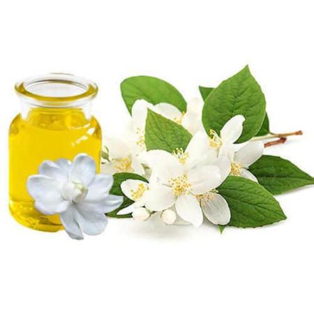 JASMINE SAMBAC ABSOLUTE OIL