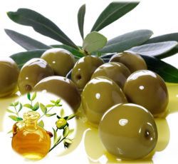JOJOBA CLEAR OIL 