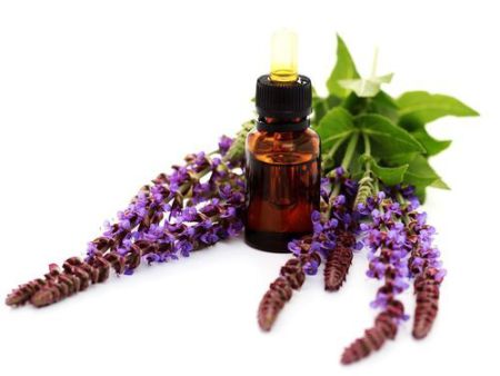 SAGE OIL