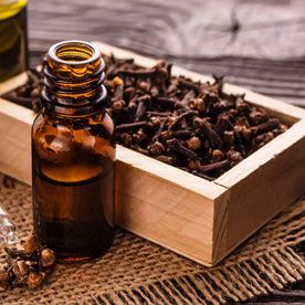 CLOVE BUD OIL