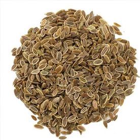 DILL SEED OIL