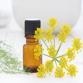 FENNEL SWEET OIL
