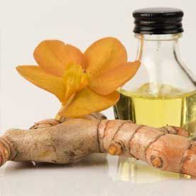 GALANGAL OIL ESSENTIAL OIL BULK