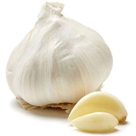 GARLIC OIL 