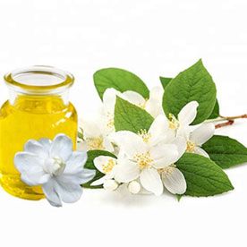 JASMINE OIL