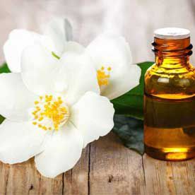 JASMINE OIL ESSENTIAL OIL BULK