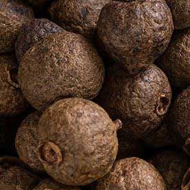 SUGANDH KOKILA OIL ESSENTIAL OIL BULK 