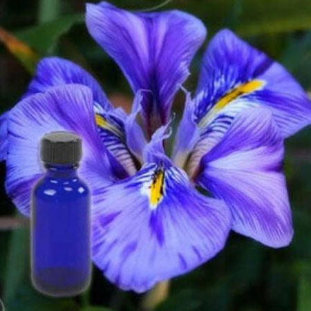 ORRIS ROOT ABSOLUTE OIL 