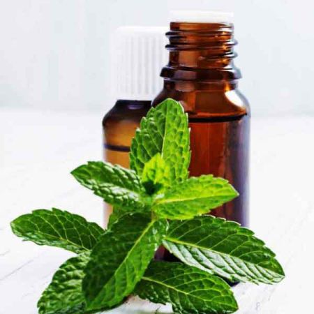PEPPERMINT OIL
