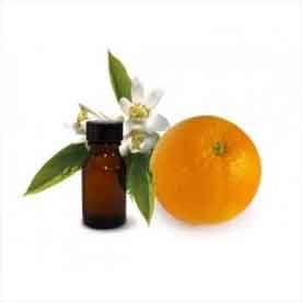 PETITGRAIN OIL Essential oil Bulk