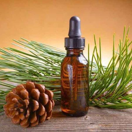Pine Needle Oil Essential oil bulk