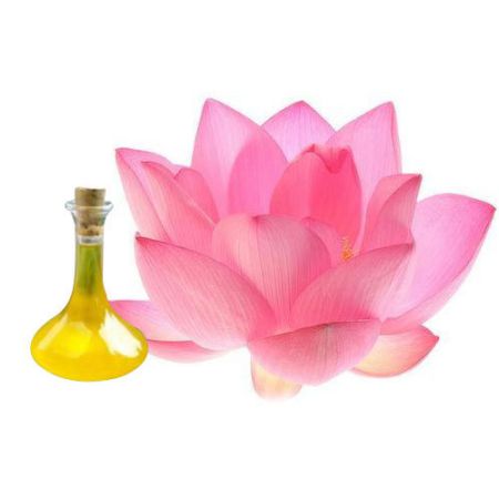 PINK LOTUS ABSOLUTE OIL 