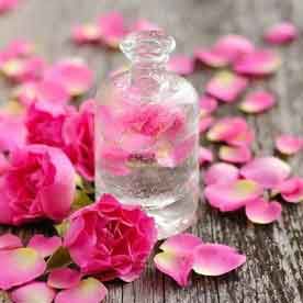 ROSE GERANIUM OIL Essential oil Bulk