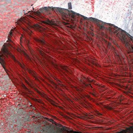 ROSEWOOD OIL Essential oil bulk