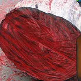 ROSEWOOD OIL Essential oil bulk