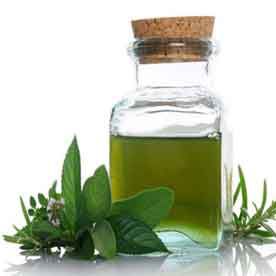 Spearmint oil Essential oil bulk