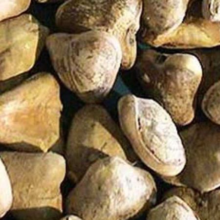 SUGANDH MANTRI OIL ESSENTIAL OIL BULK