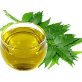 NEEM OIL 