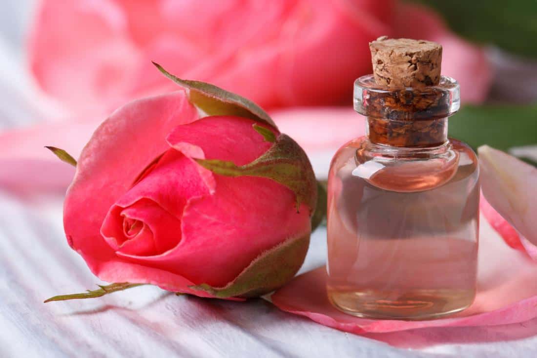 Rose Water- Why it is most so popular ?