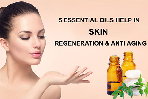 Top 5 essential oils help in skin regeneration and anti ageing